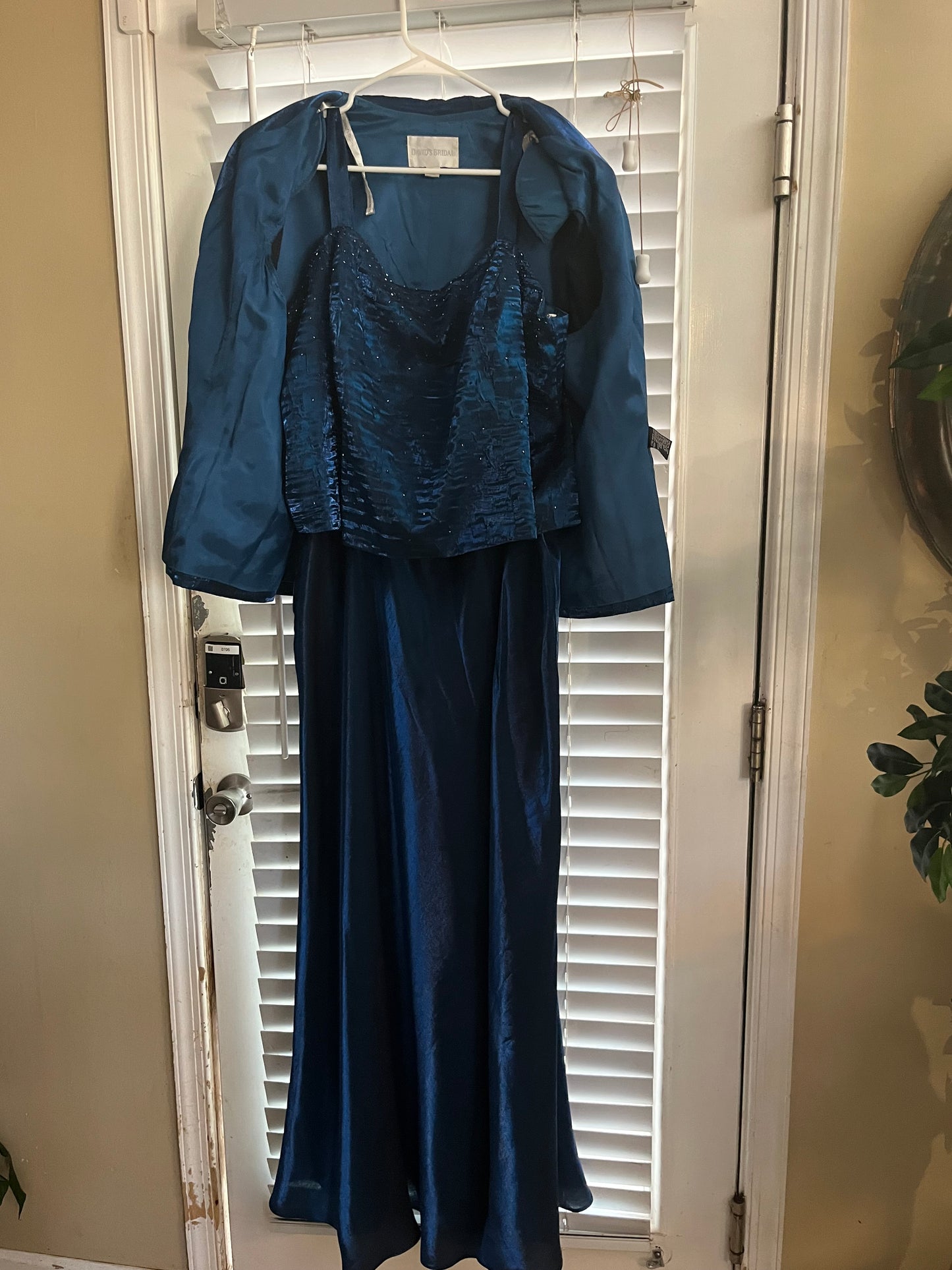 David’s Bridal Mother of the Bride Dress