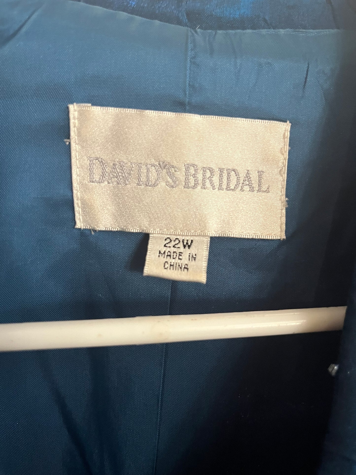 David’s Bridal Mother of the Bride Dress